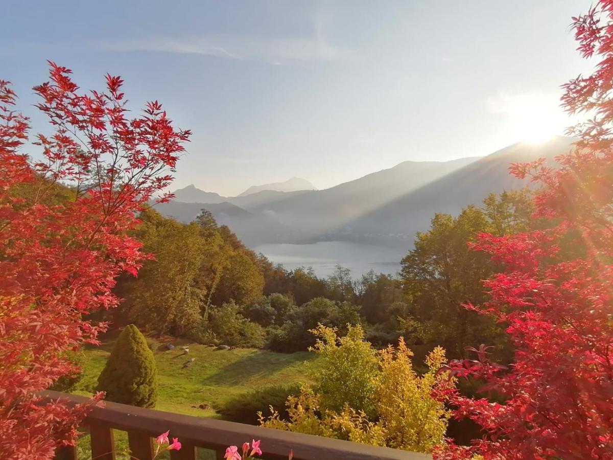 La Finestra Sul Lago Brusimpiano Екстериор снимка