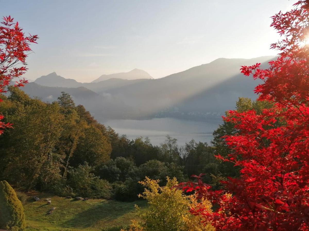 La Finestra Sul Lago Brusimpiano Екстериор снимка