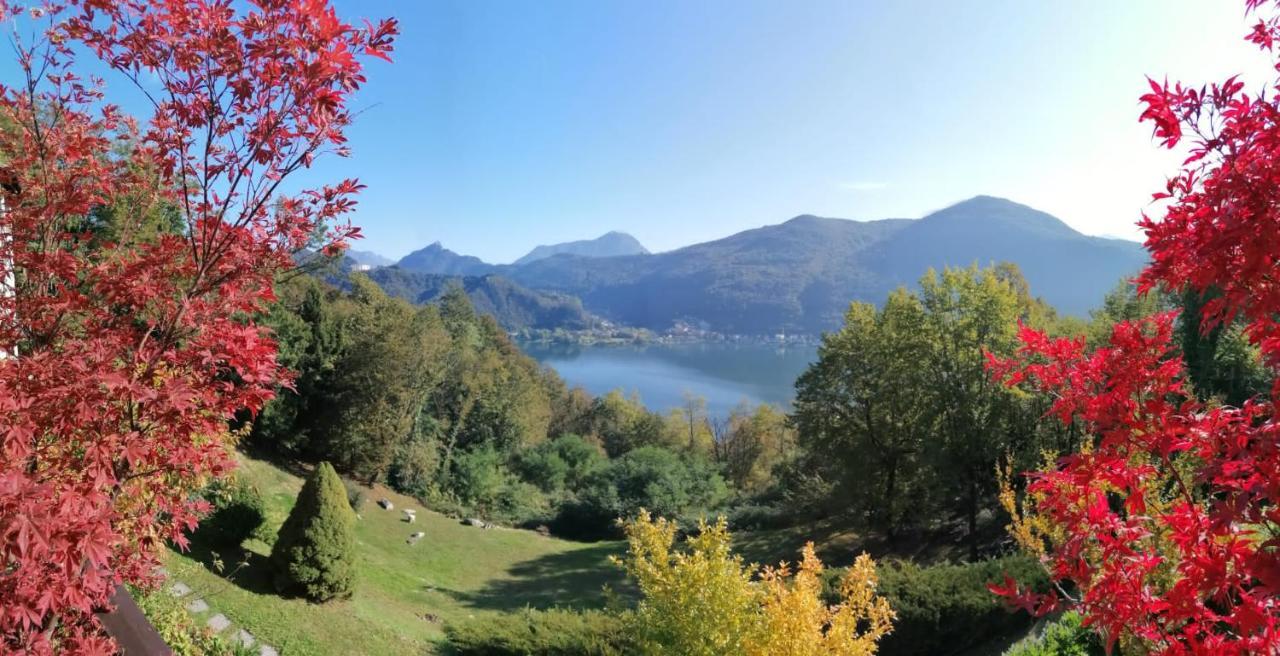 La Finestra Sul Lago Brusimpiano Екстериор снимка