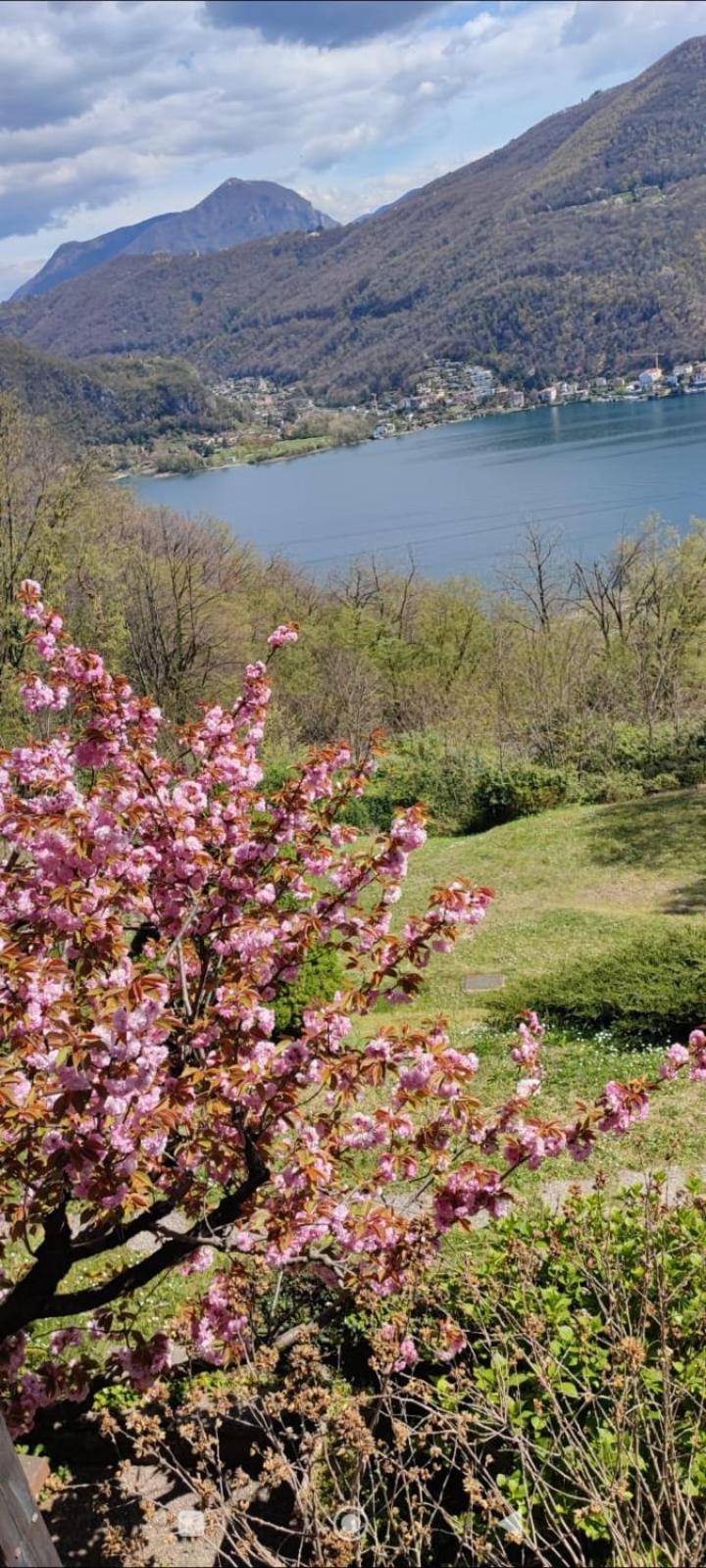 La Finestra Sul Lago Bed & Breakfast Brusimpiano Екстериор снимка