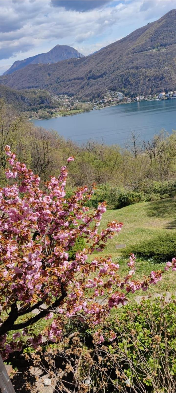 La Finestra Sul Lago Brusimpiano Екстериор снимка